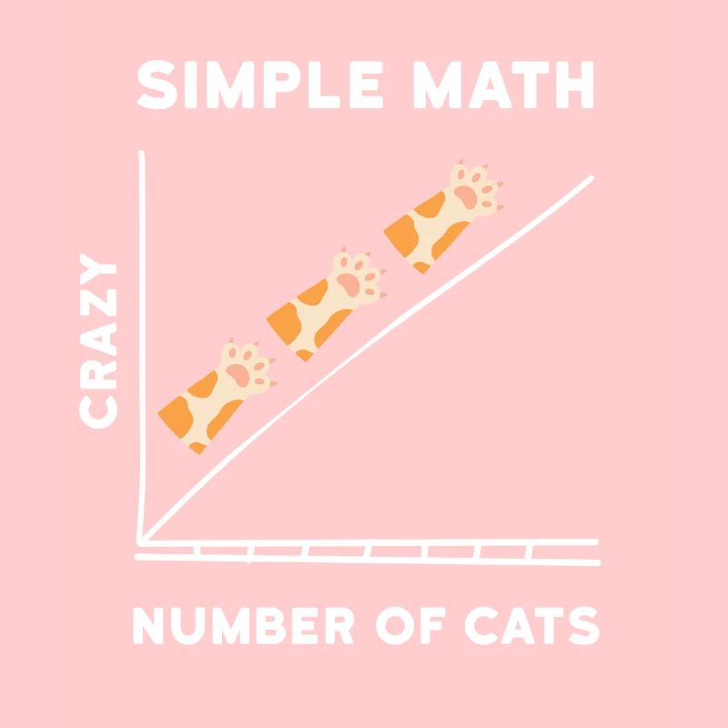 Simple Math Kitten Cats