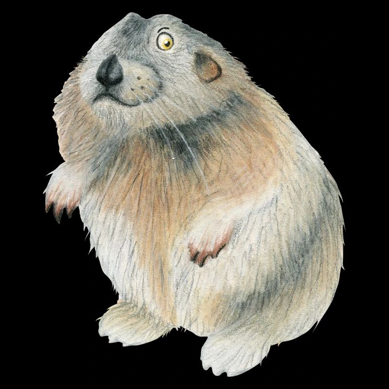 Lemming