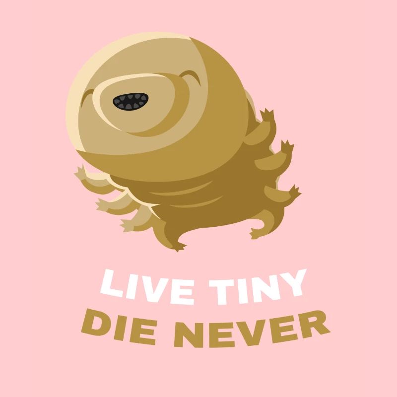 Live Tiny Die Never Bärtierchen