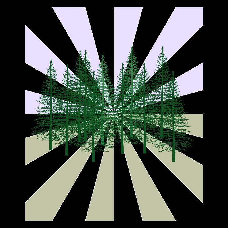 Rays Forest Fir Wilderness Flora Ecology