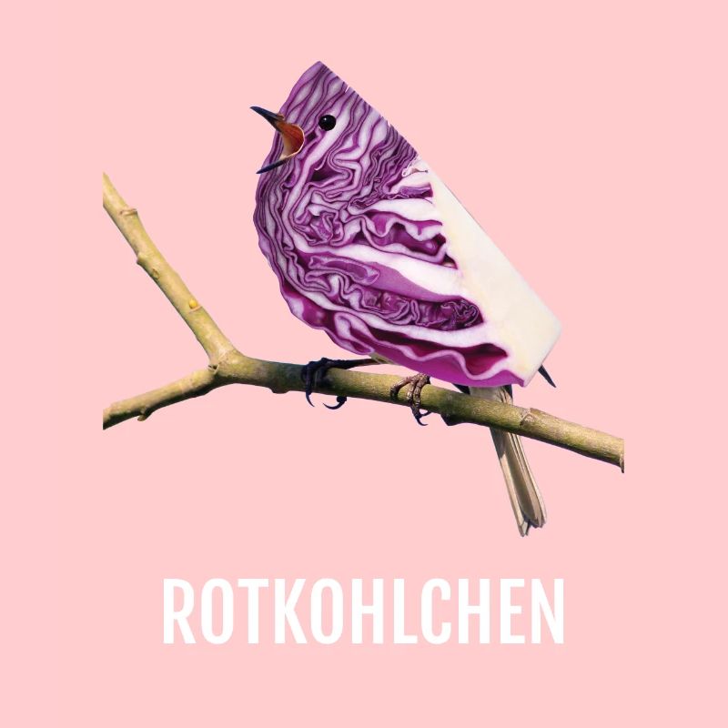 Rotkohlchen Meme Vogel Rotkelhlchen