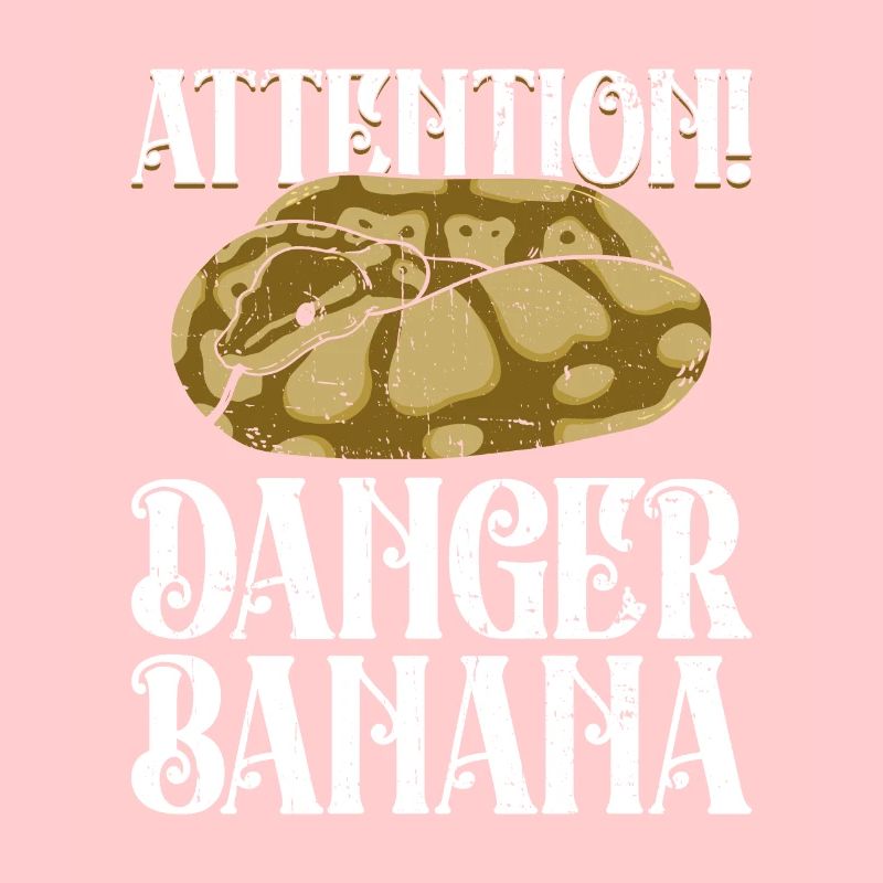 Königspython Banane Königspython Schlange