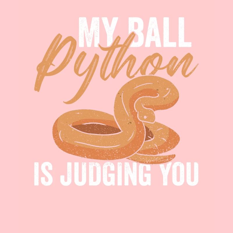 Python Königspython Banana Ball Python