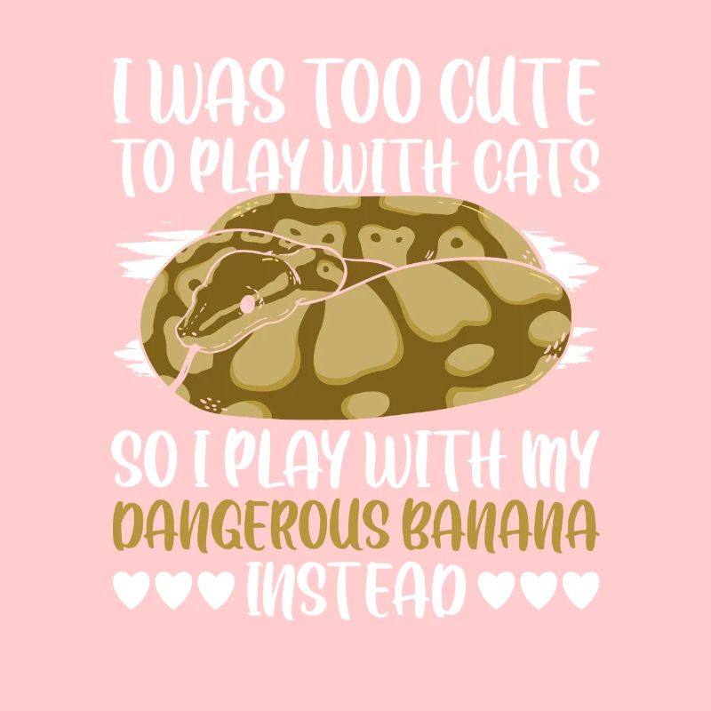 Dangerous Banana Königspython Banana Ball Python