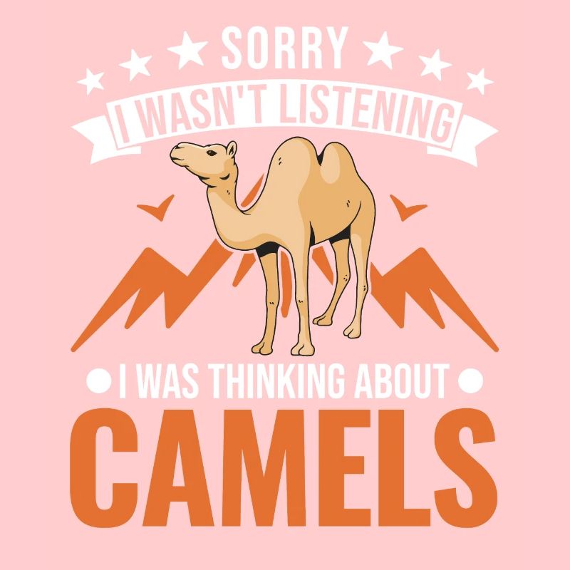 Kamel Dromedar Ägypten Geschenk Großkamel