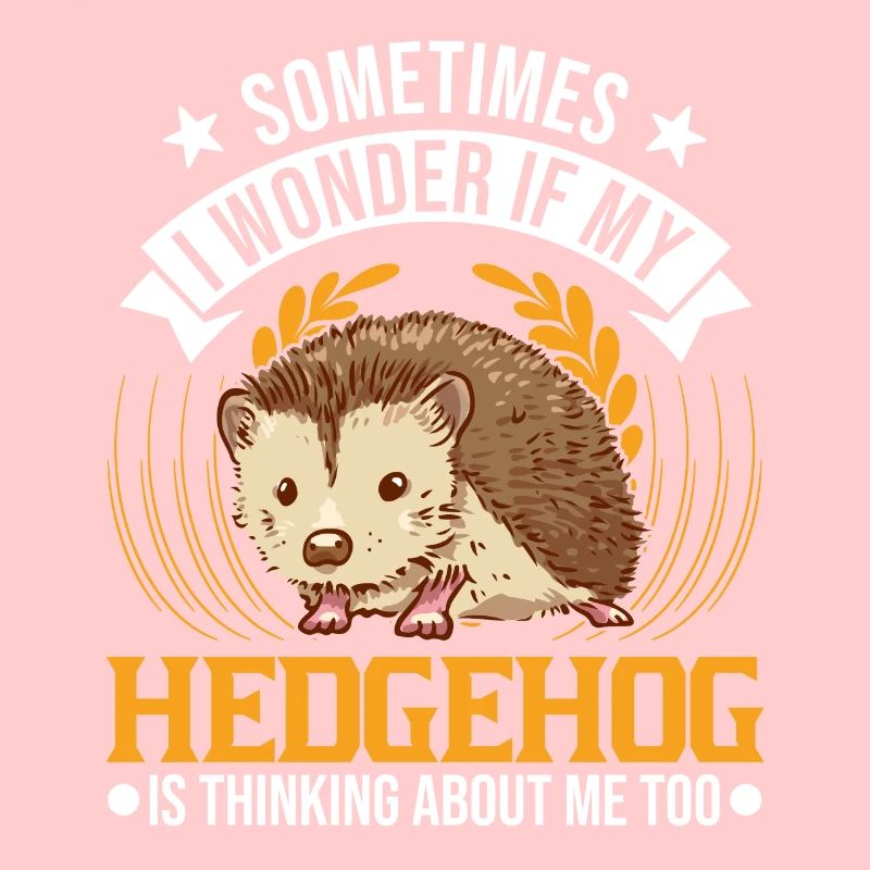 Igel Geschenk Stacheligel