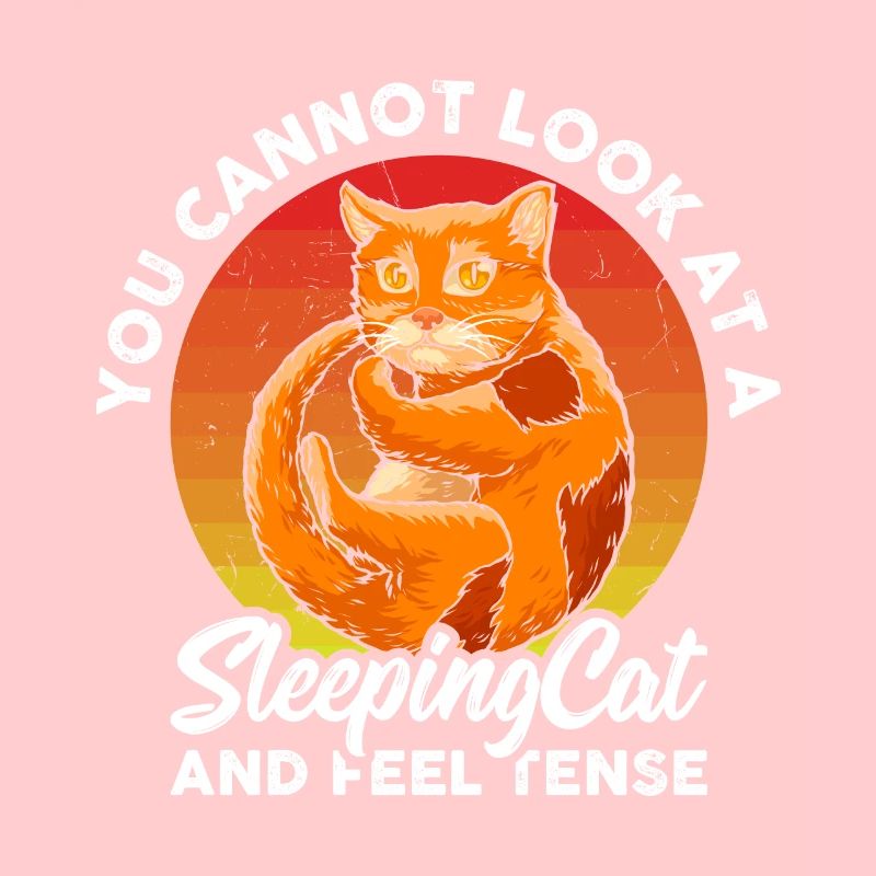 Vous ne pouvez pas regarder un chat endormi