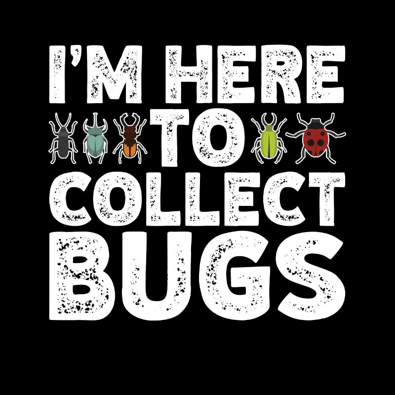 Insecte