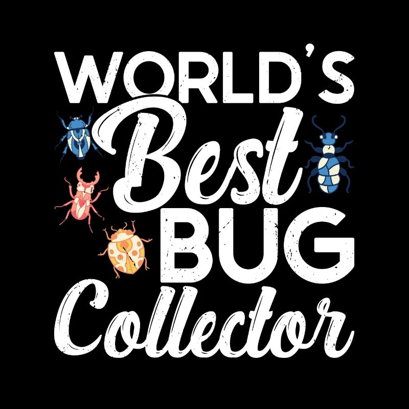 Insecte