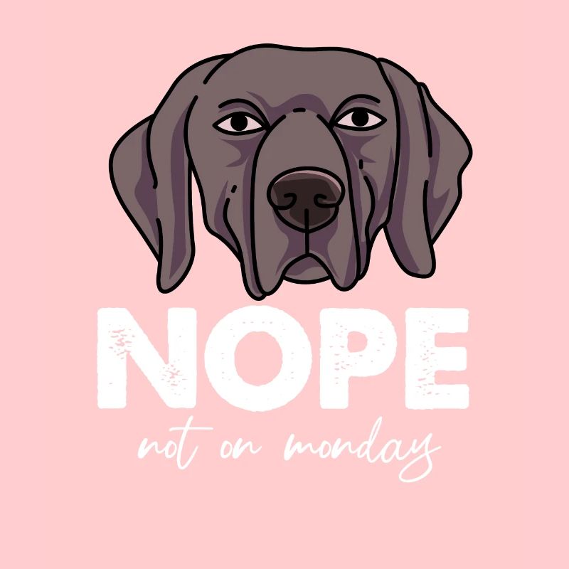 Weimaraner