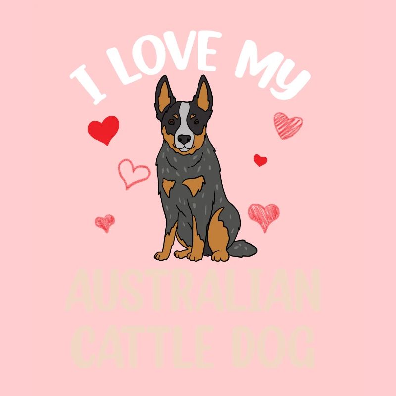 Bouvier australien