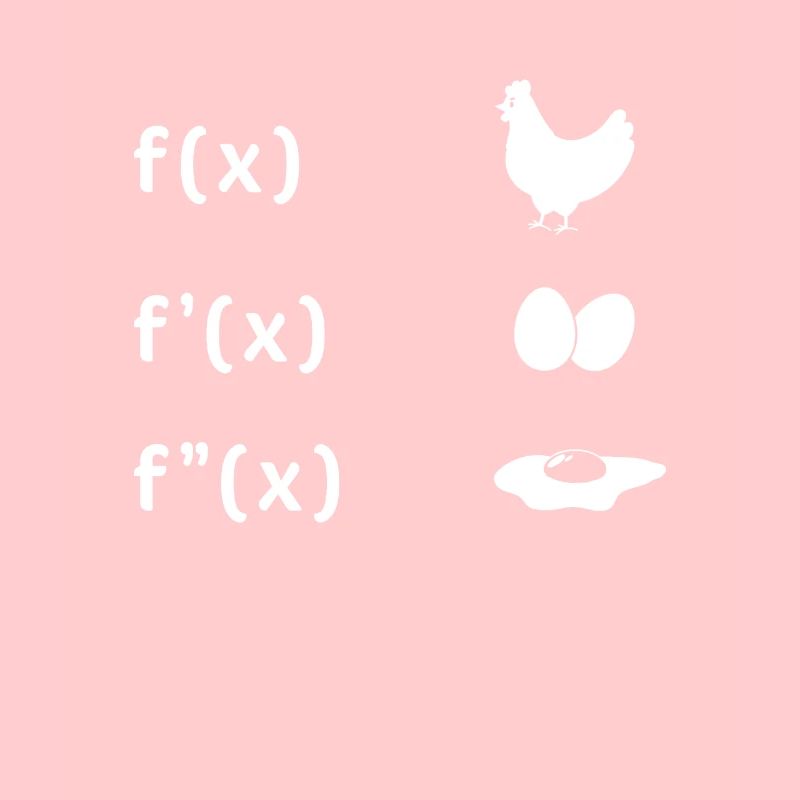 Derivative Function Chicken Egg Fried Egg Maths