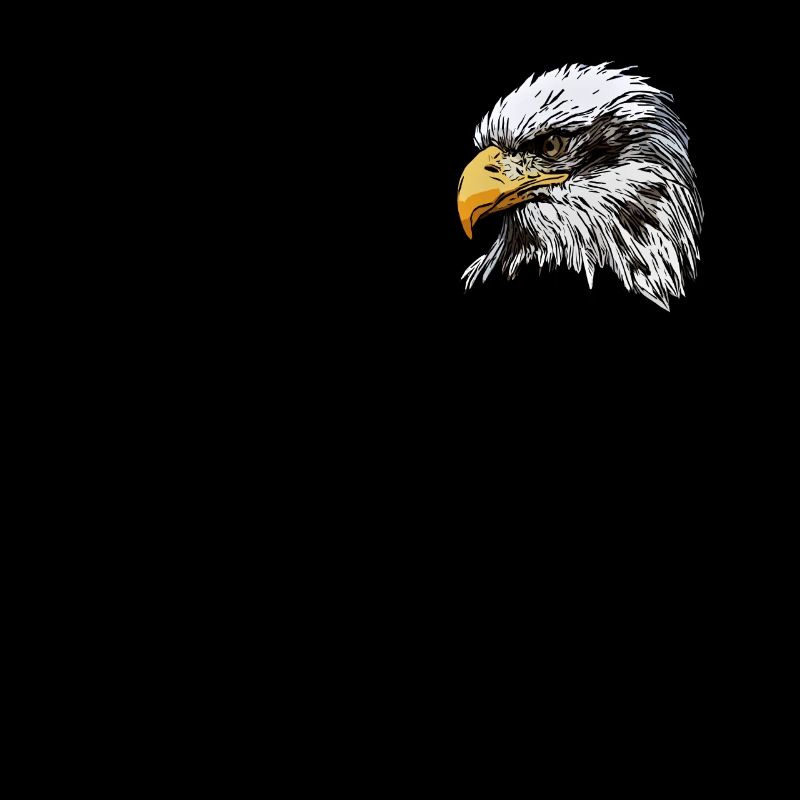 Bald Eagle Bird Graphic Design