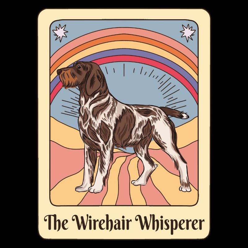 German Wirehaired Pointer Chien de chasse GWP Whispere