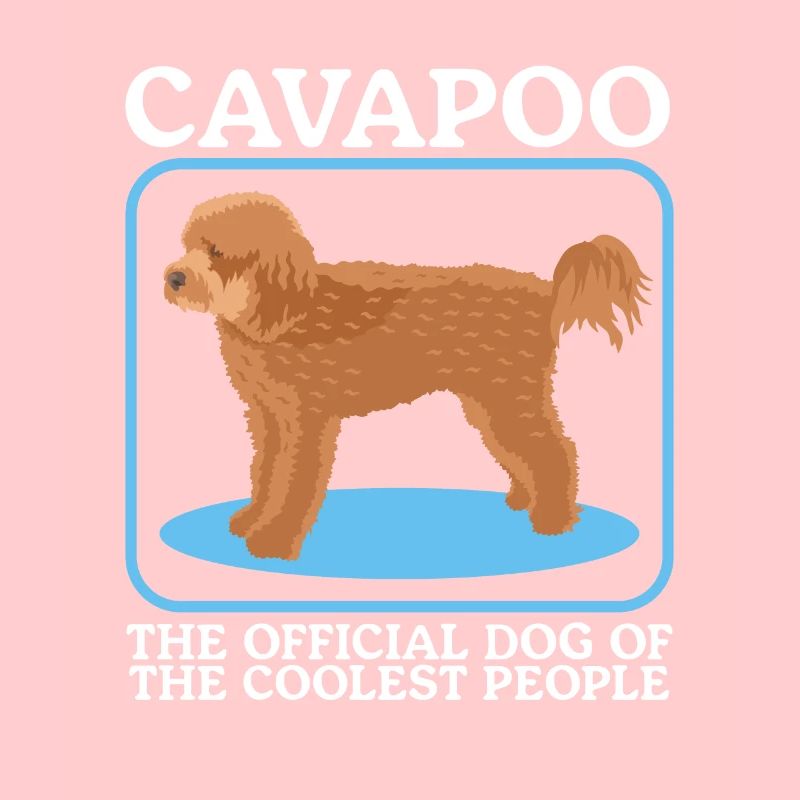 Cavapoo Hund Cavoodle Hundebesitzer Geschenk