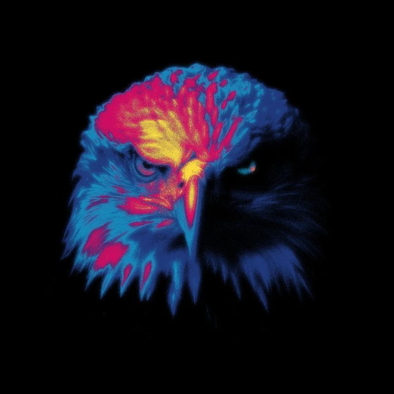 Colored eagle
