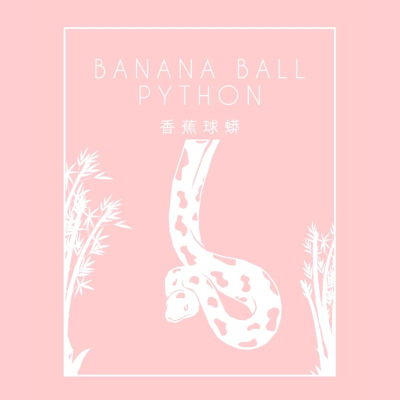 Boule de banane Python Hanzi Chinois Hanzi Snake Banane