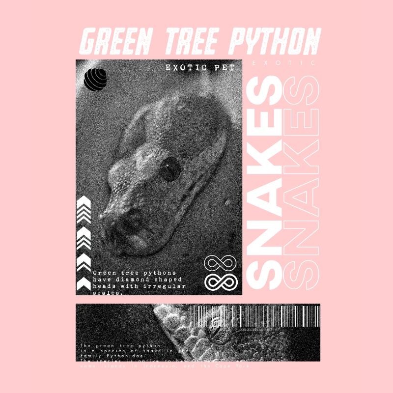 Green Tree Python Modern Streetwear Reptile Keeper