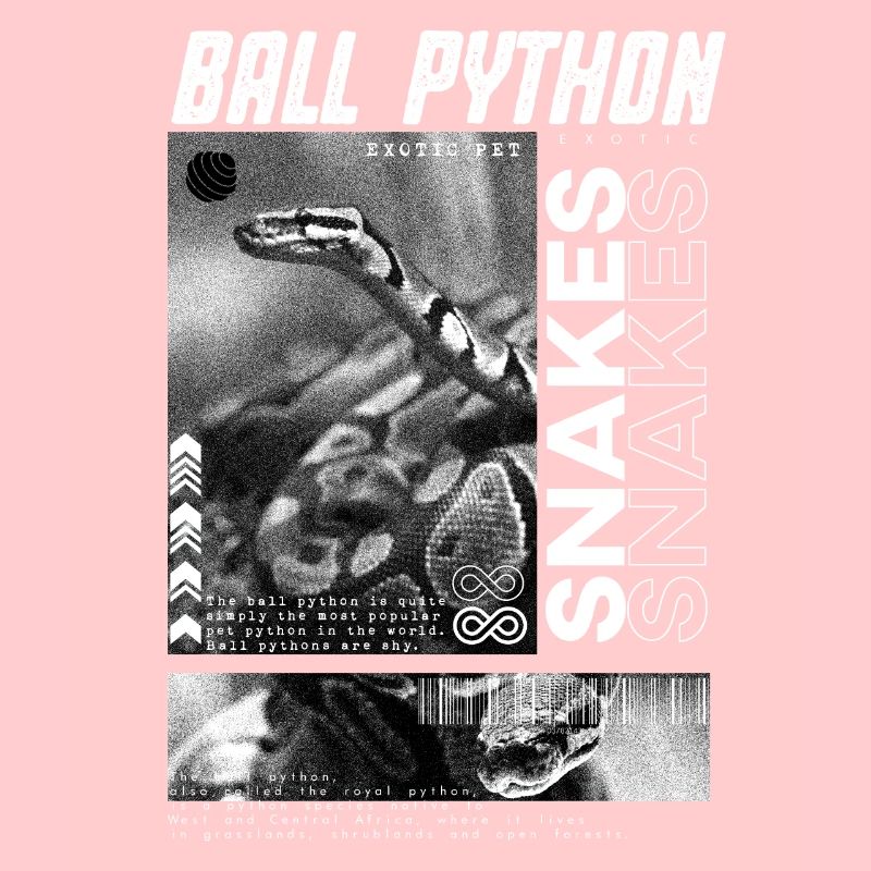 Ball Python Modern Streetwear Reptile Keeper