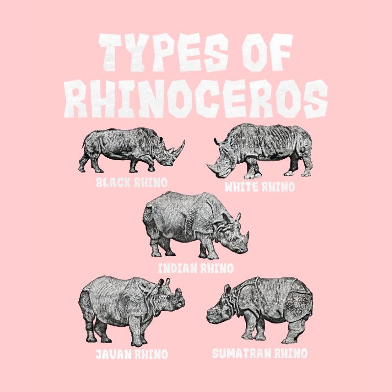 Rhinoceros