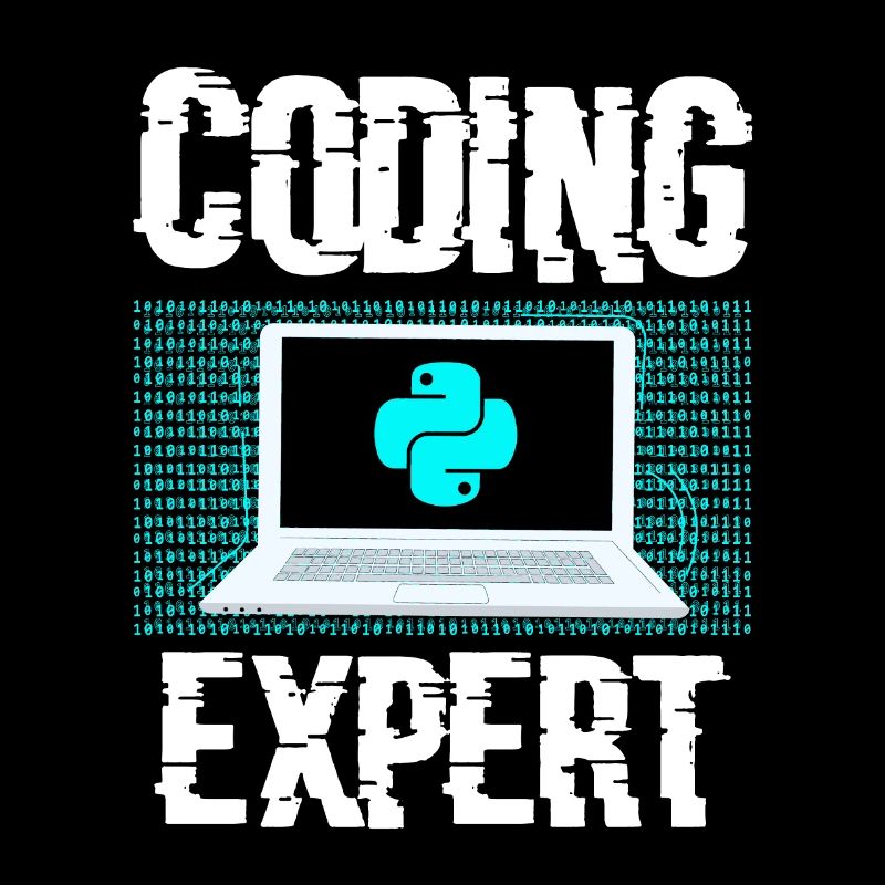 Programmeur de programmation codeur expert en codage