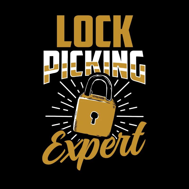 Lockpicking Expert Cracking Lock Lock Picking