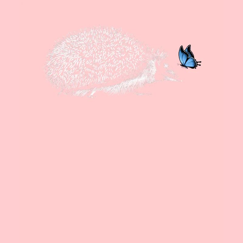 Hérisson avec papillon