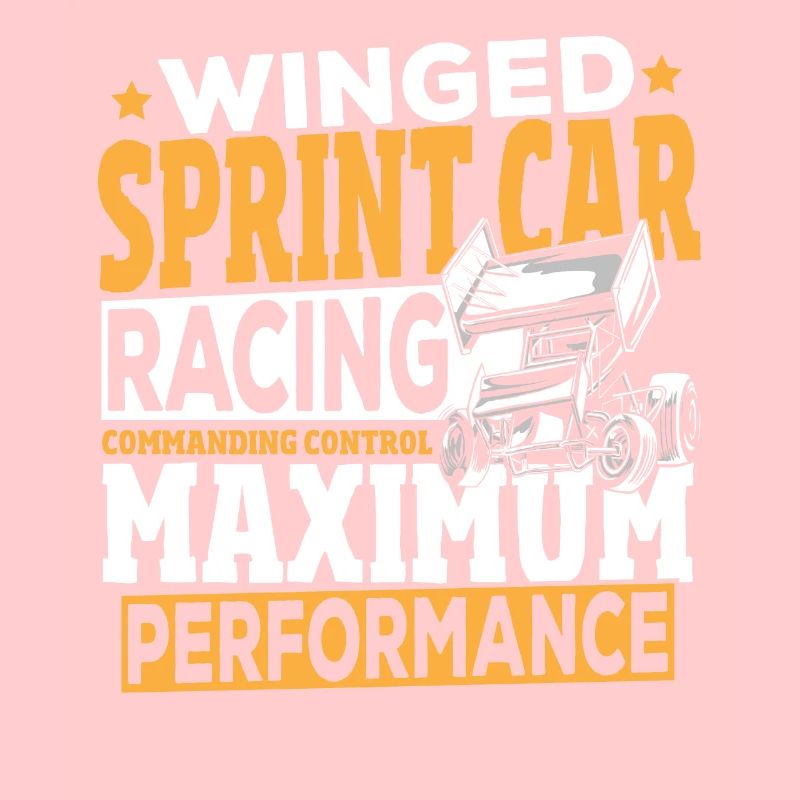 Performance contrôlable de course de voitures de vitesse ailées