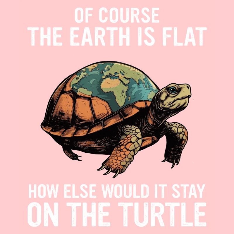 Turtle Sea Turtle Turtle Animal