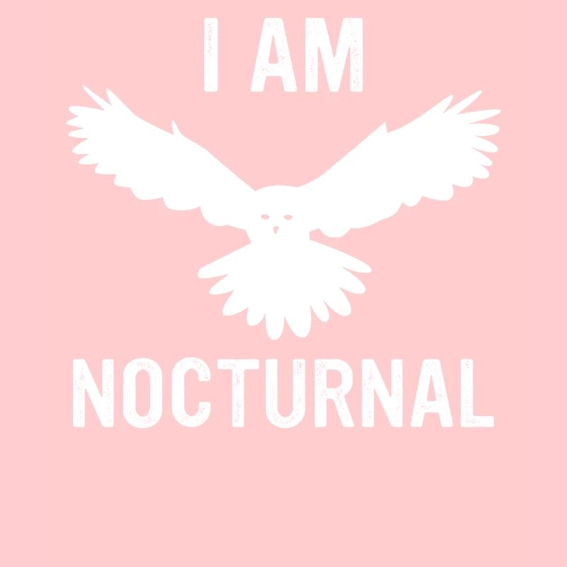 Eule Vogel Tier Eulen