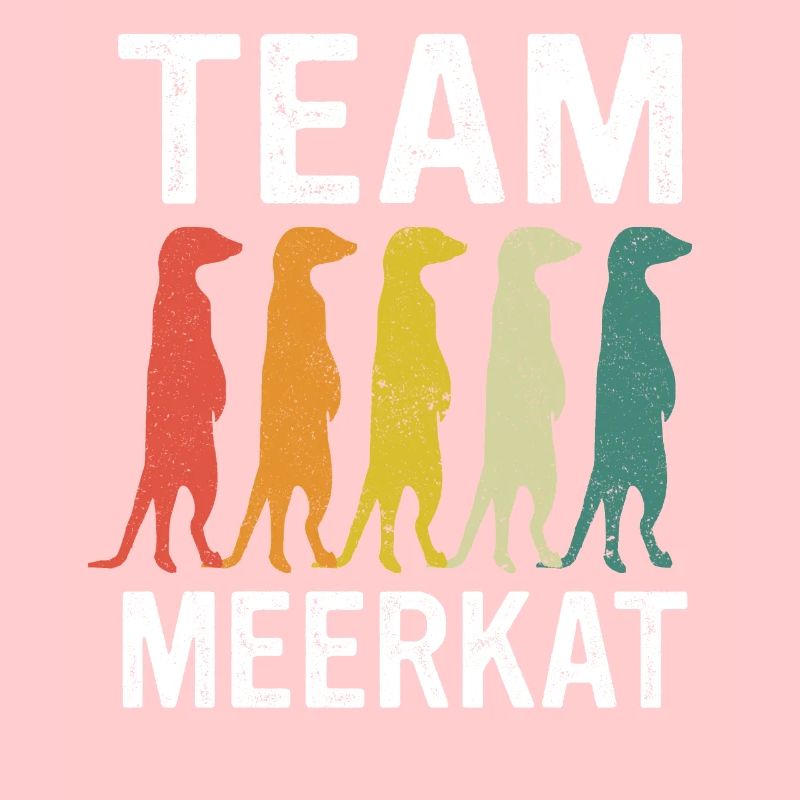 Erdmännchen Tier Erdmann