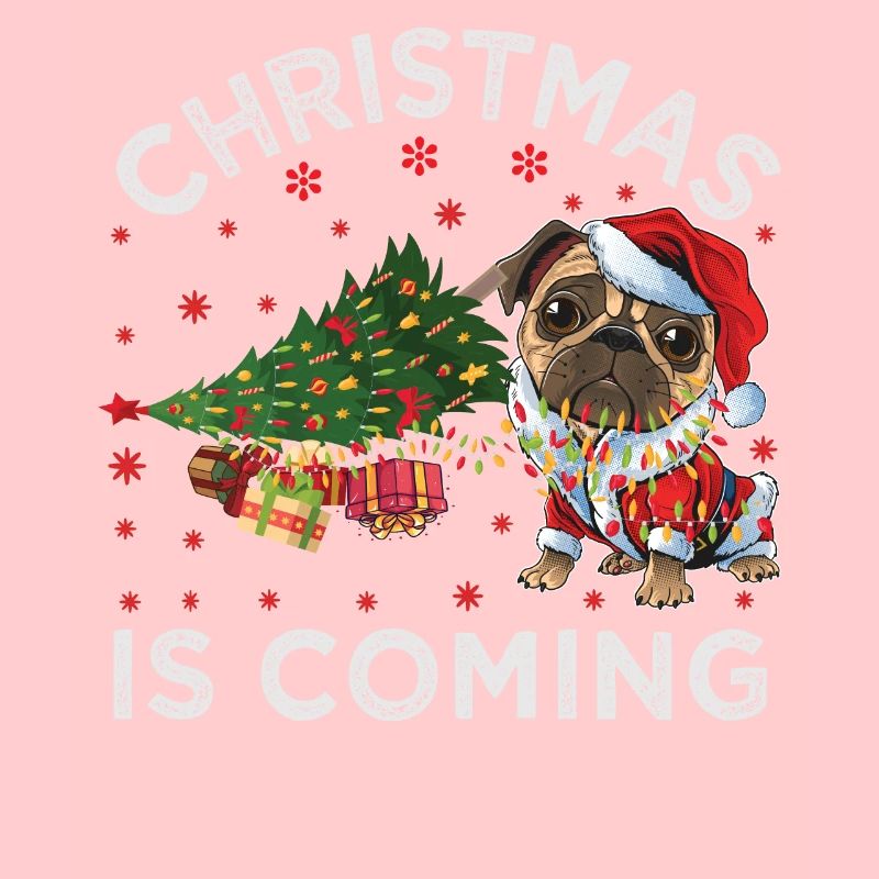 Noël arrive version chien