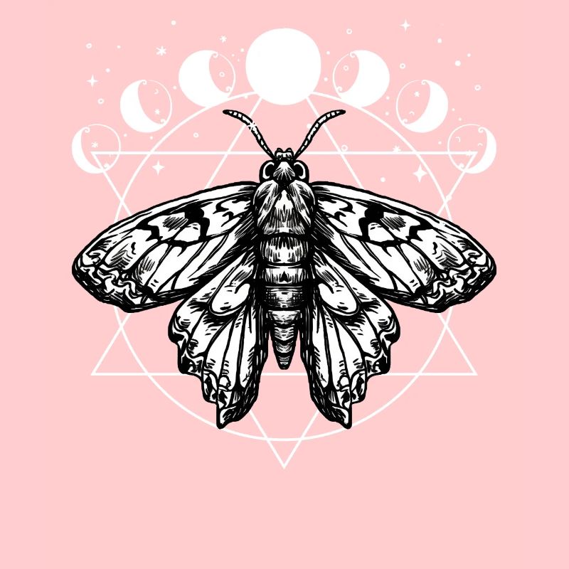 Grunge Moth Fairycore Moon Phases Witchcraft Ether