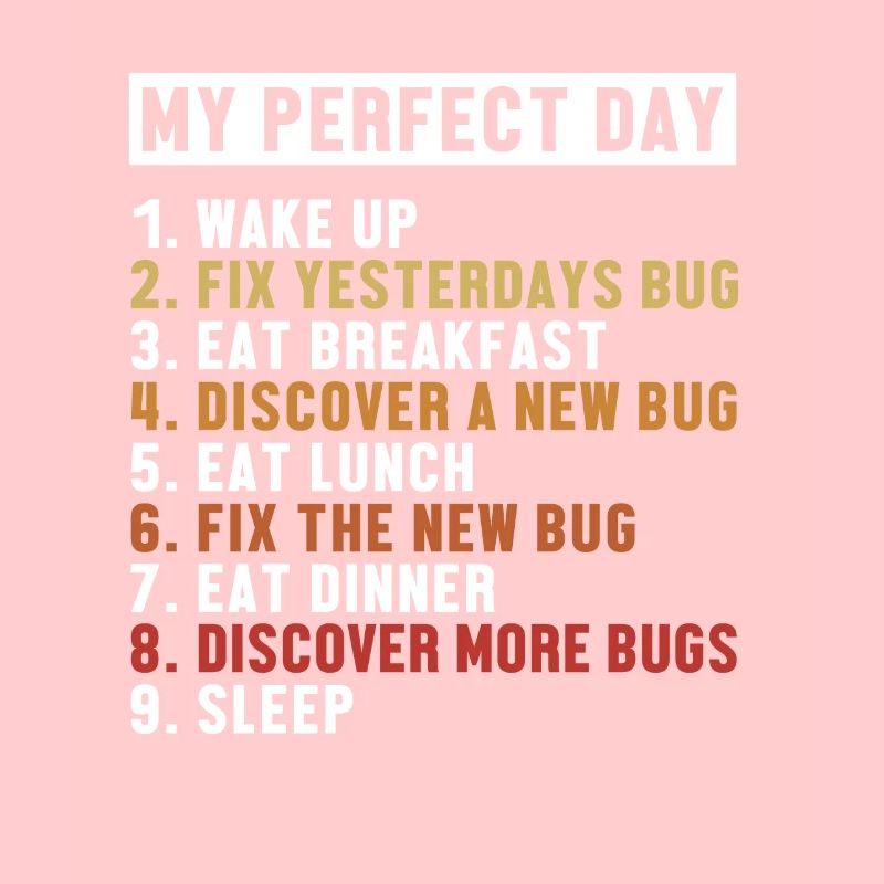 Fix Bugs Perfect Day Developer Coder Programmer