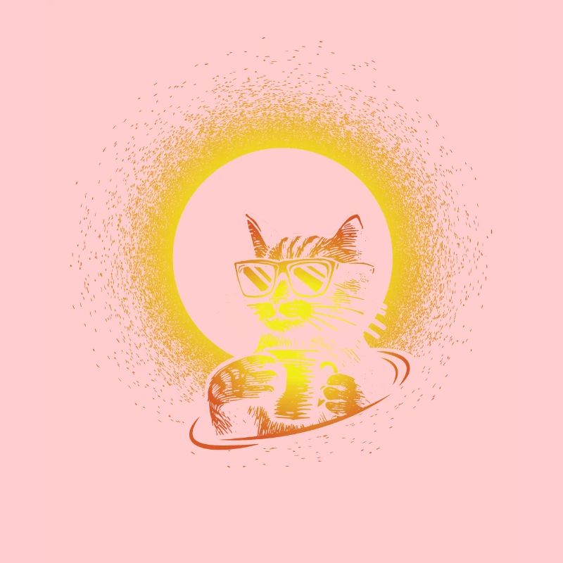 Solar Eclipse Cat Experience Sun