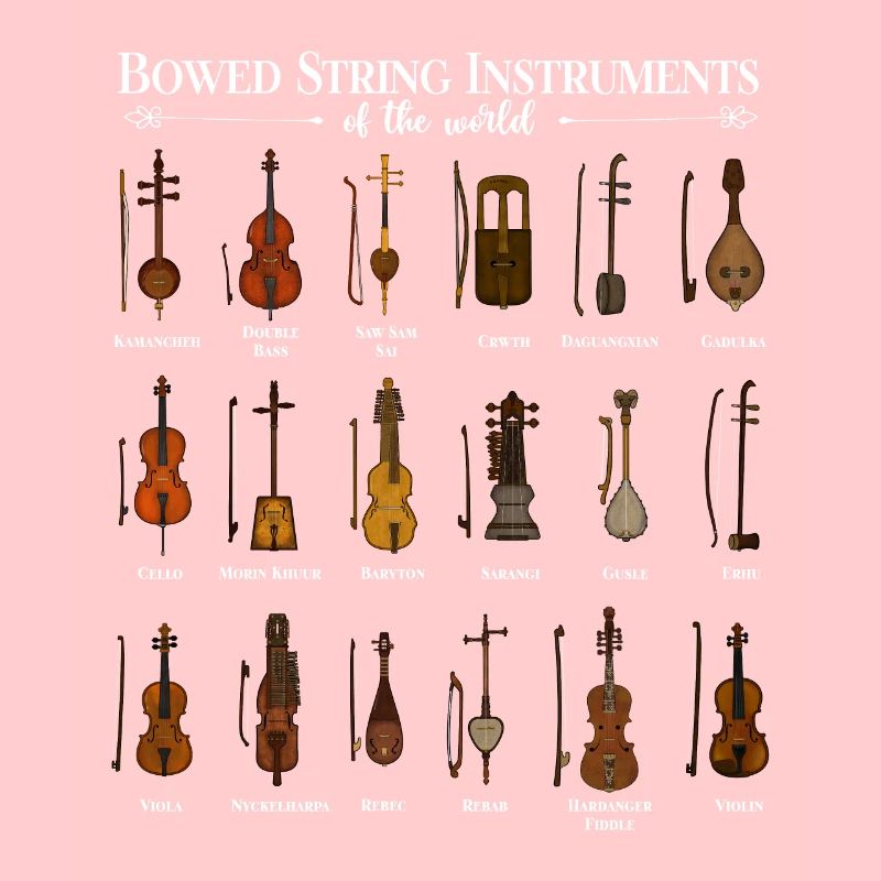 Various String Instruments