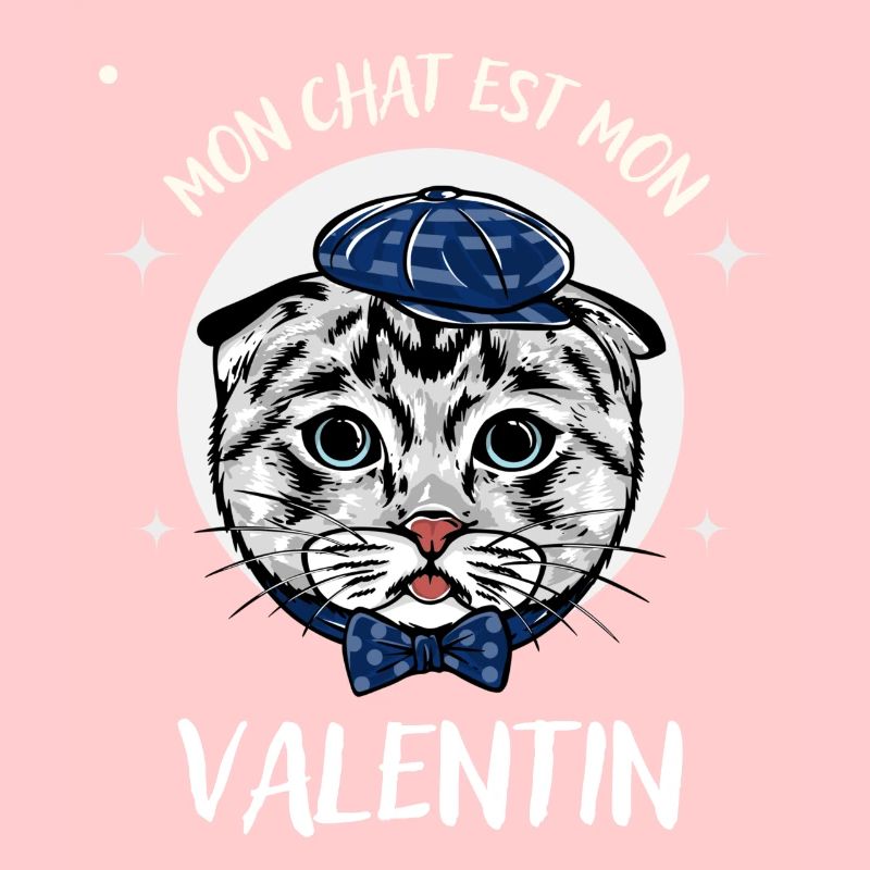 Mon Chat est Mon Valentin