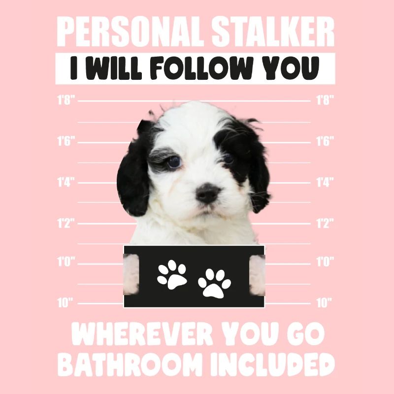 Lustiger persönlicher Stalker Hund Cavapoo Besitzer Geschenk