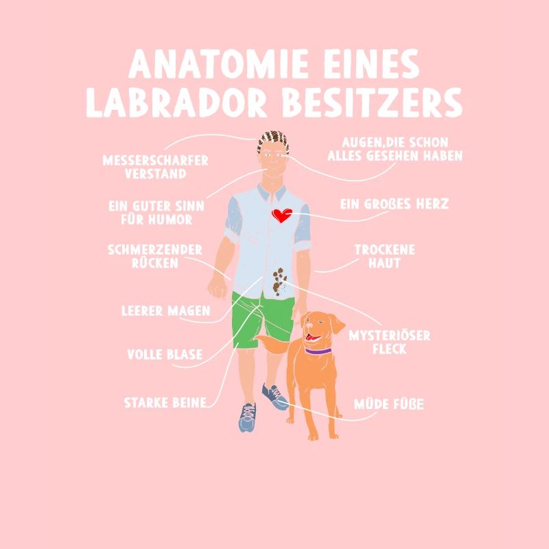 Anatomie eines Labrador Besitzers