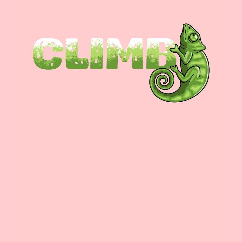 Bloc, escalade, escalade libre Chameleon Boulder