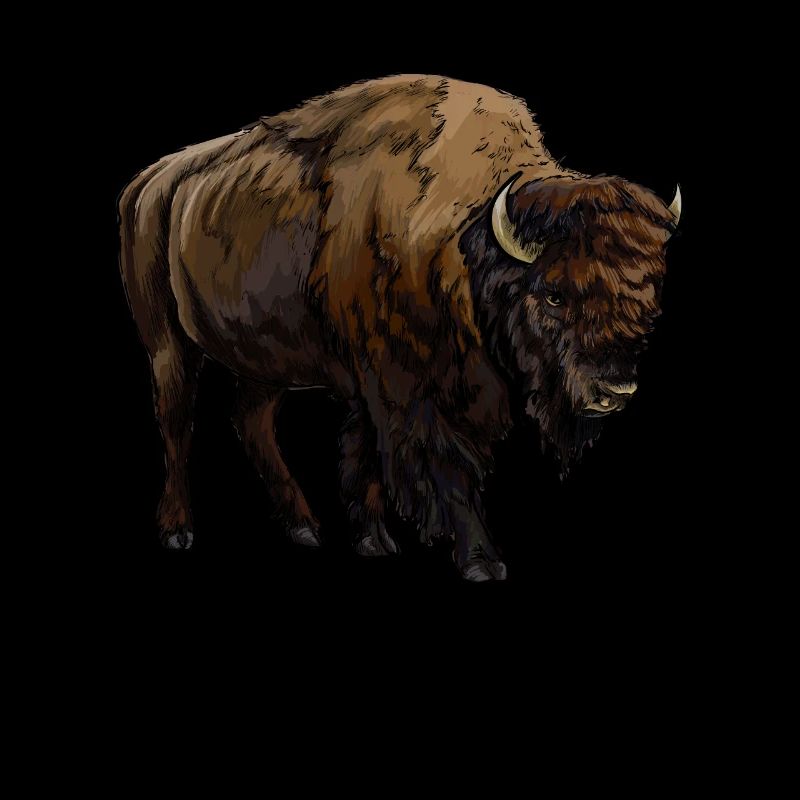 Bison d’Amérique de buffle Bovinae Lover Bison