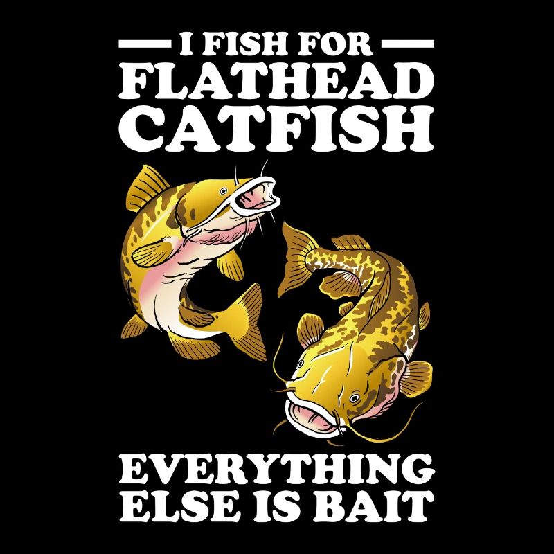 Poisson-chat pêcheur Poisson-chat Pêche au poisson-chat Pêche au poisson-chat