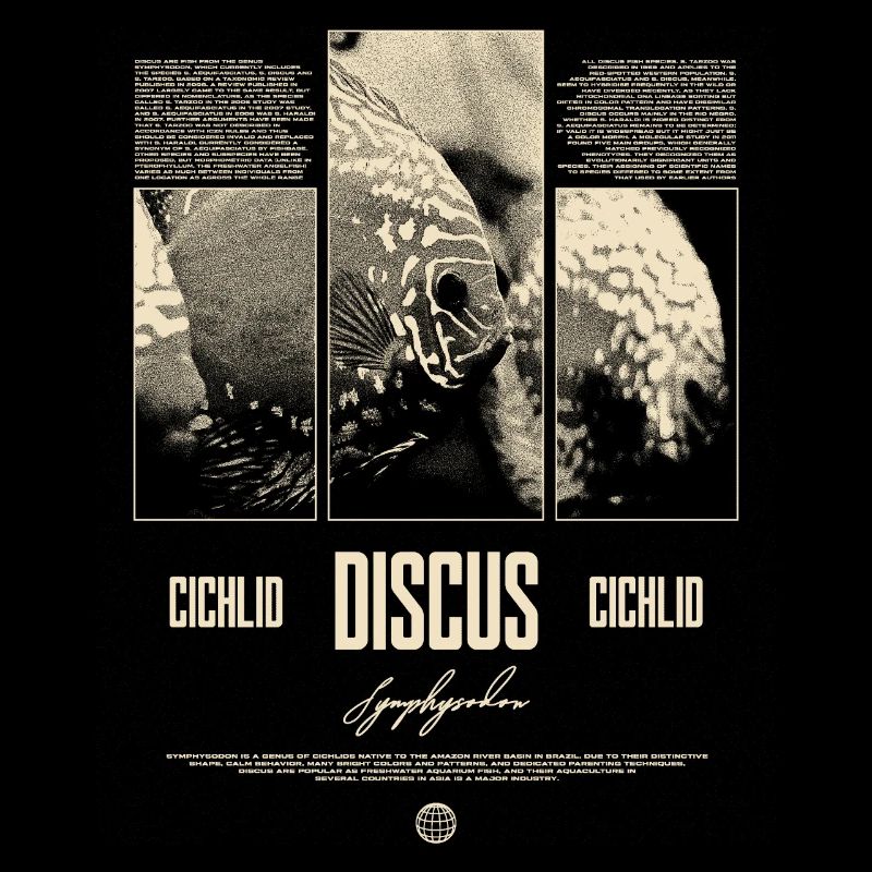 Discus Cichlidé Aquarium Fish Keeper