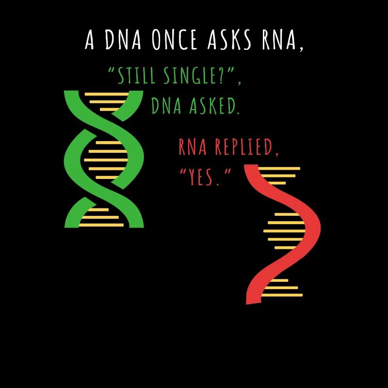 DNA - noch einzeln - RNA - immer