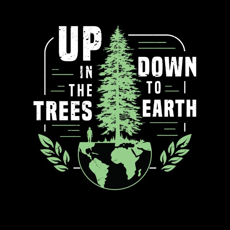 Tree Surgeon Up In The Trees Down To Forest Worker