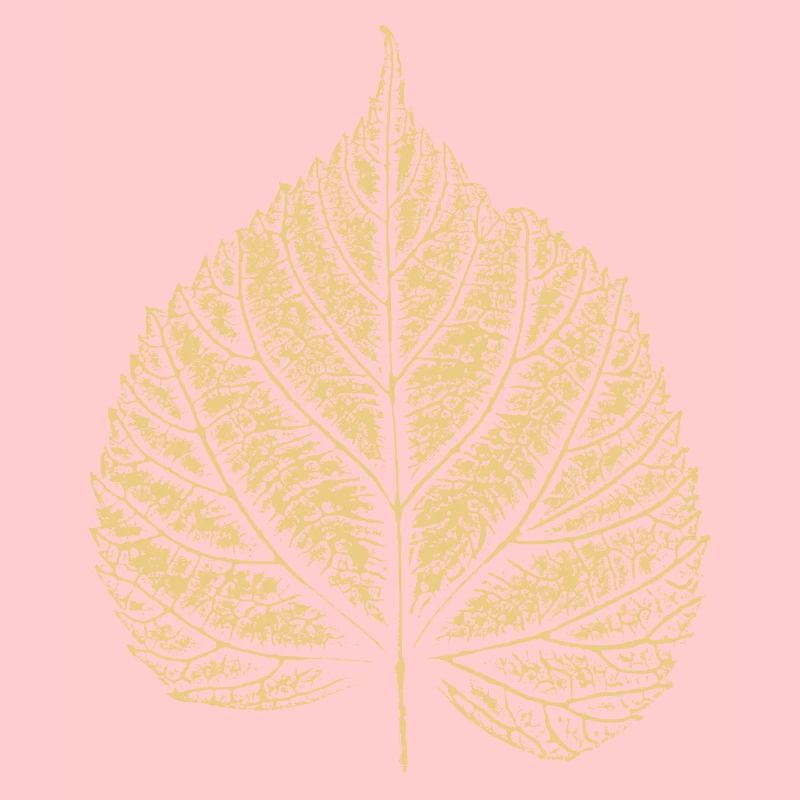 Blatt Linde / Lindenblatt 2