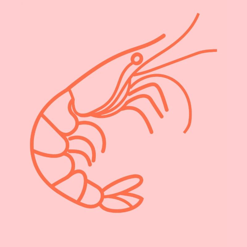 Shrimp