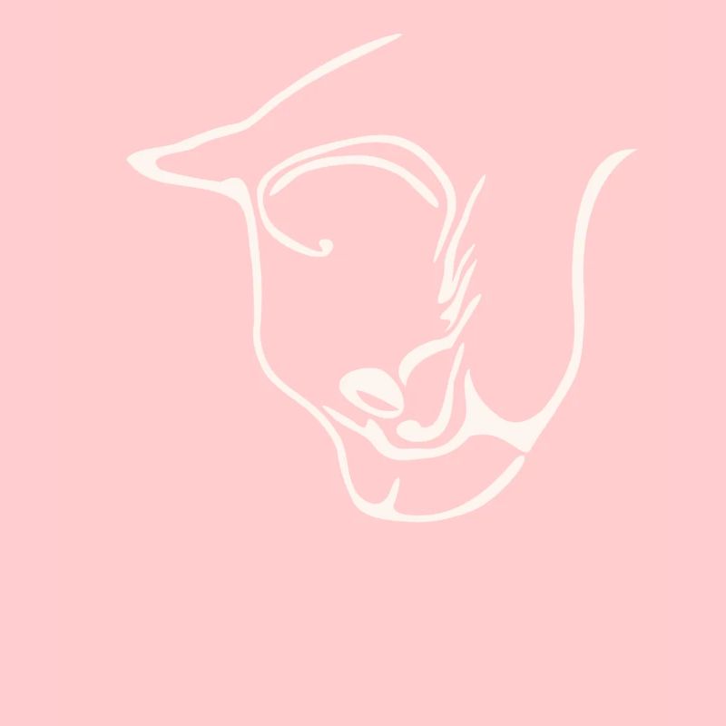 Conception graphique de visage de chat