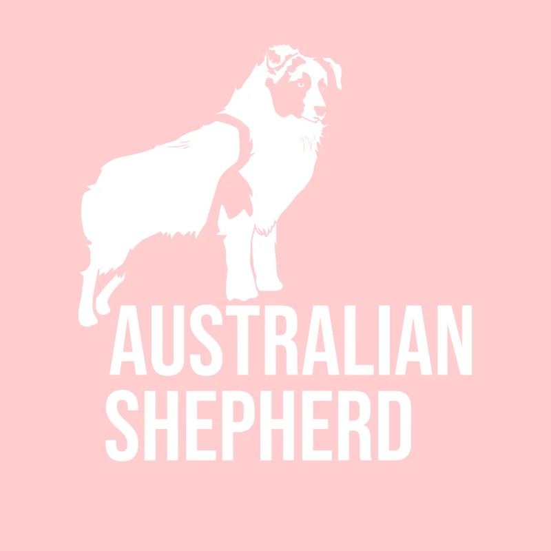 Australian Shepherd Aussie Hund