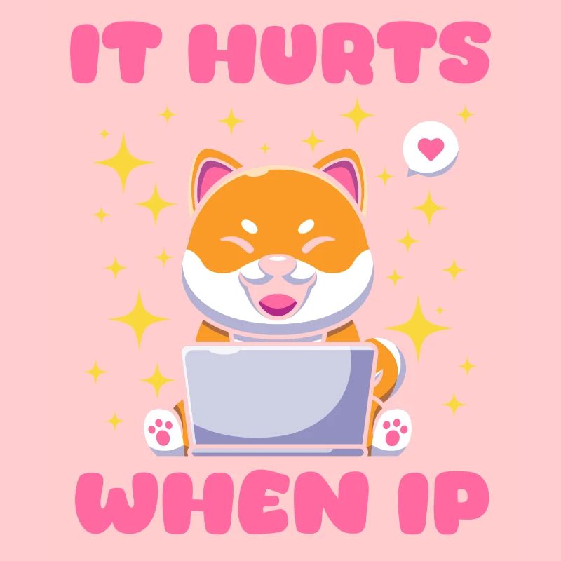 IT Geek, Accessoires PC Périphériques de stockage Evolution